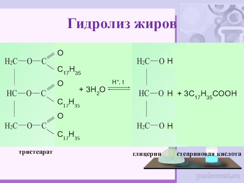Роль жирных кислот в организме человека