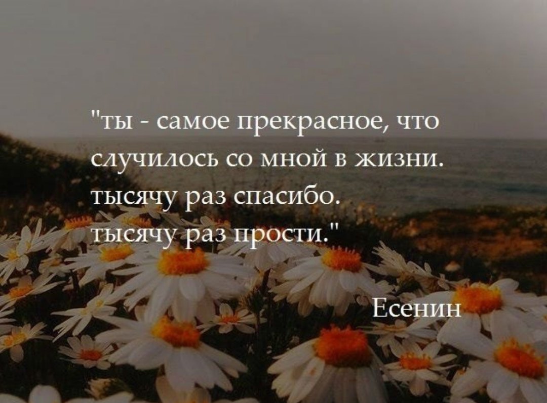 Самые необычные цветы в мире топ 30