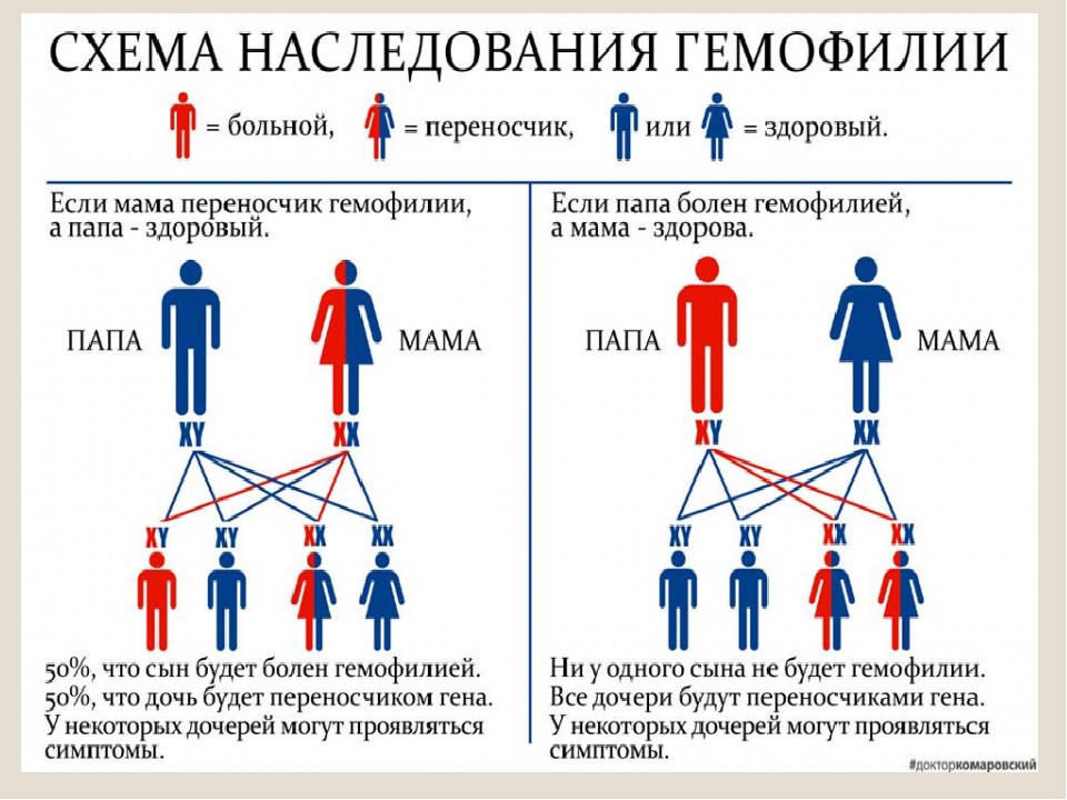 Как любовь  матери к отцу  влияет на судьбу дочери — это интересно!