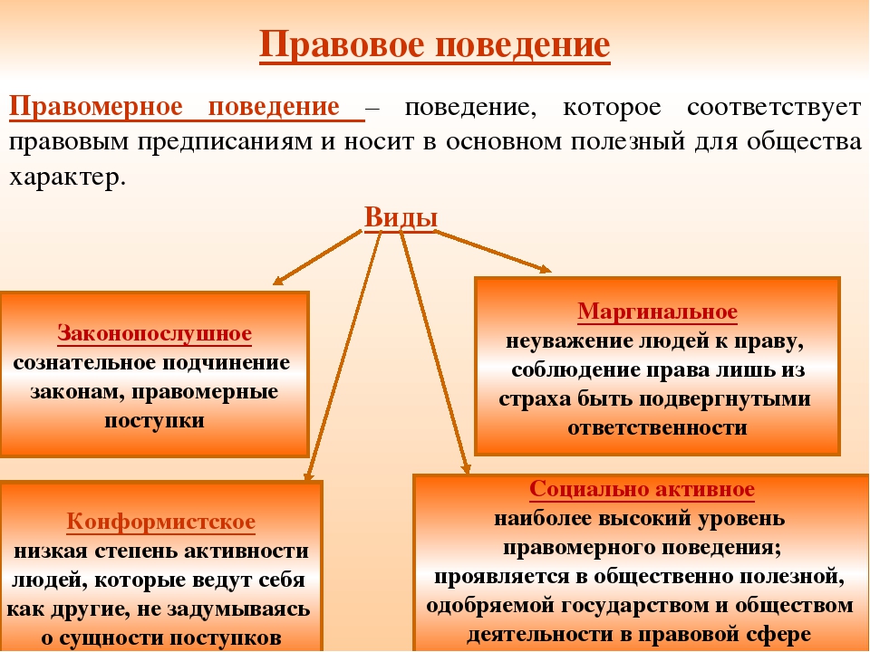 Что такое сексизм? (определение и виды сексизма)