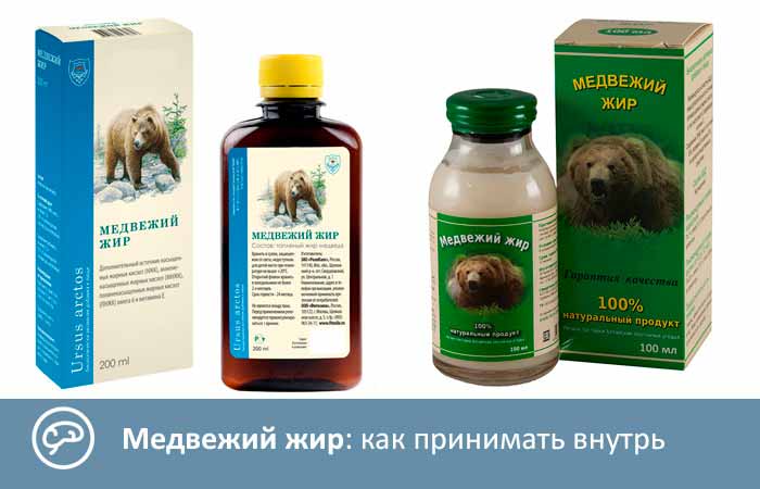 Чем полезен медвежий жир для человека и сколько стоит литр