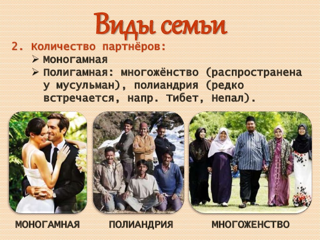 Определение полигамности: что это значит у человека, виды в отношениях людей