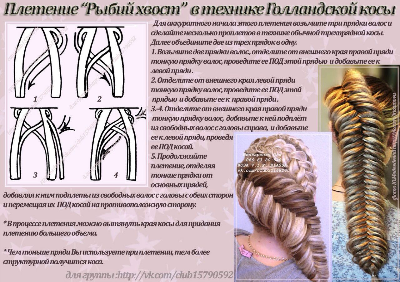 Какие бывают косы из волос картинки с названием