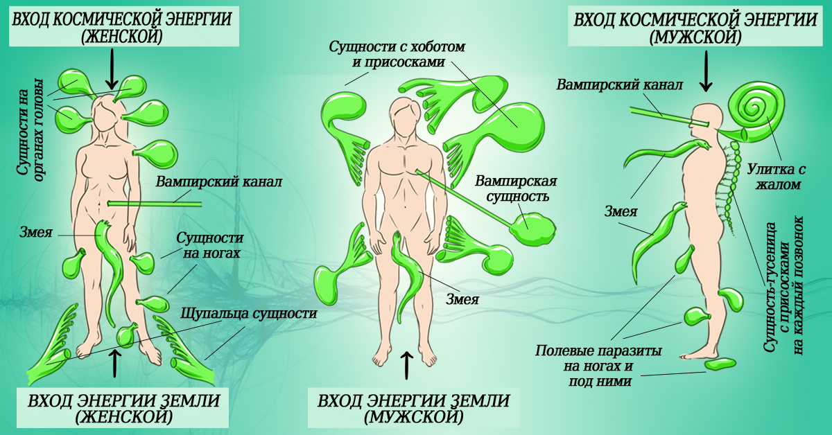 И схема и целибат 4