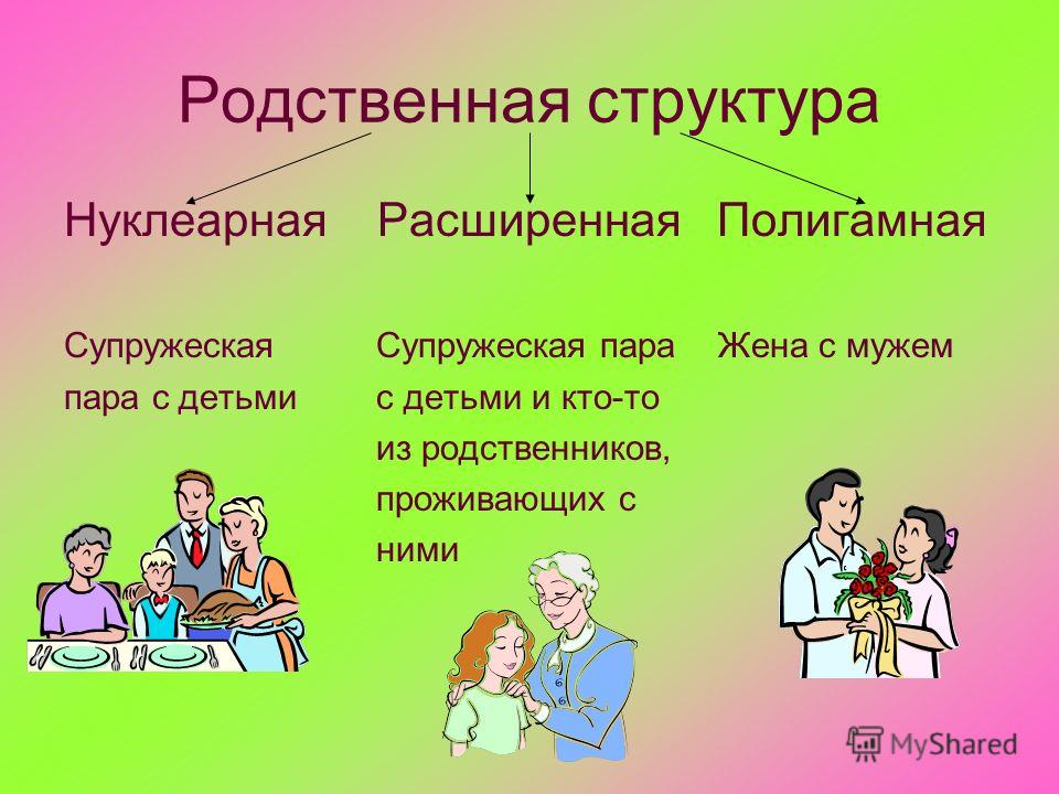 Что такое нуклеарный тип семьи в традиционном обществе