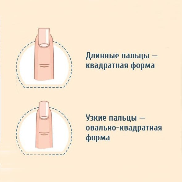 Мягкий квадрат форма ногтей коротких и длинных: описание и фото новинок дизайна маникюра в 2021 году, пошаговая инструкция проведения процедуры