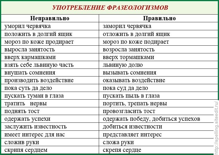 Компрессионный трикотаж: виды, классификация, выбор, рекомендации по носке, обзор производителей