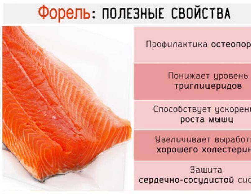 Рыба форель - польза и вред для организма, полезные свойства и противопоказания