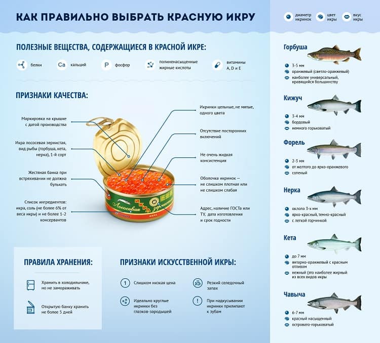 Рыба - источник белка. чем она полезна для человека. самая полезная рыба