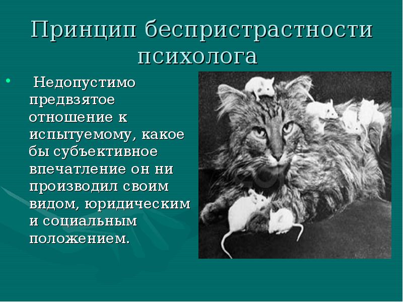 Что такое предвзятое отношение к человеку?