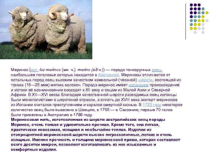 Кашемир: что это за ткань, свойства, из чего состоит, как стирать и ухаживать, как выглядит материал (шерсть или нет), что шьют, отличия подделки