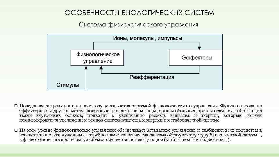 Бихевиоризм как направление современной психологии
