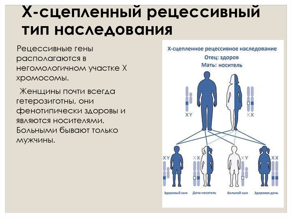 Рисуночный тест «моя семья»: оценка и интерпретация психологов
