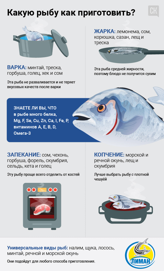 10 самых полезных рыб для человека, которых можно есть женщинам
