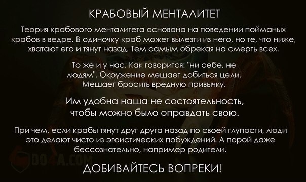 Теория ведра с крабами | блог 4brain