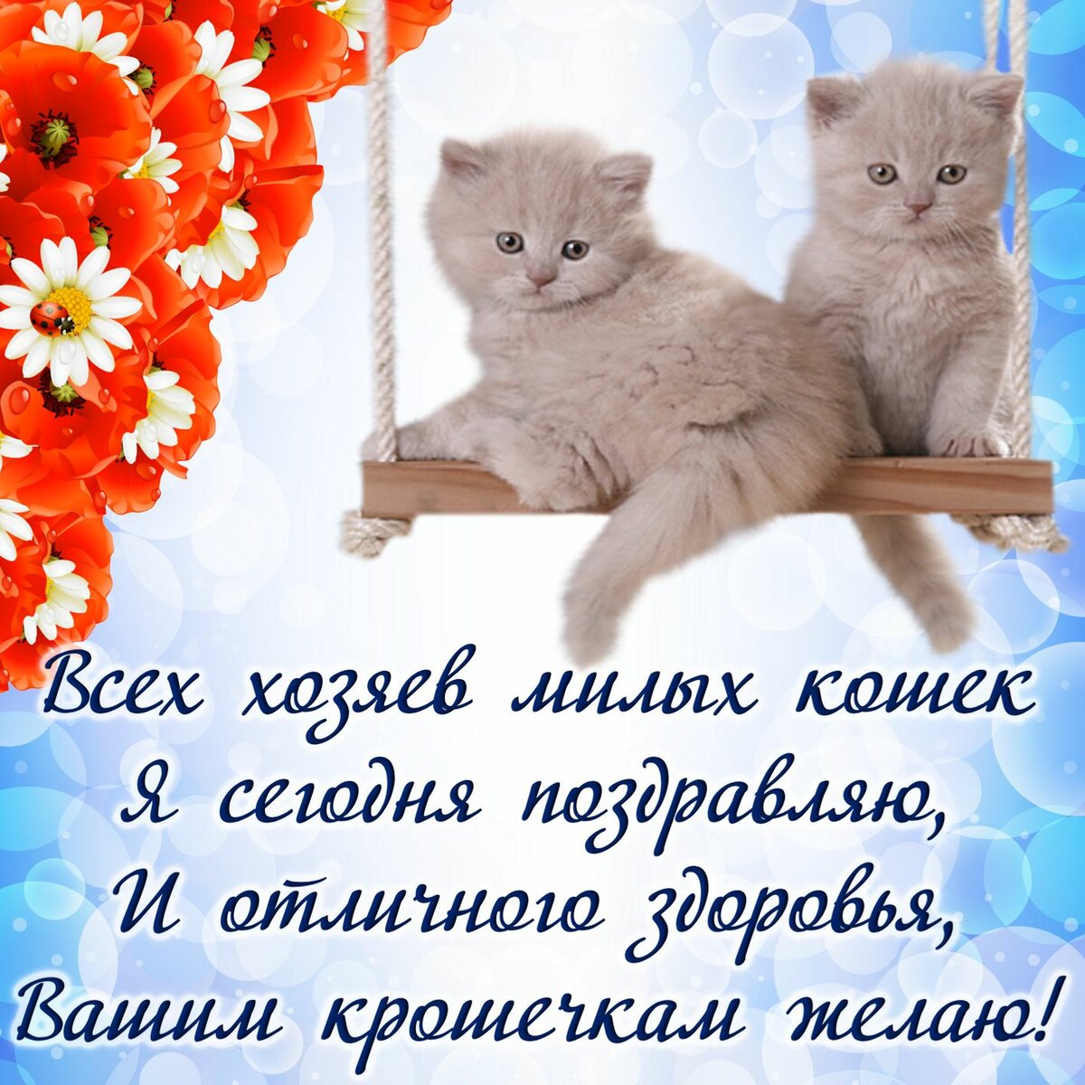 Всемирный день кошек поздравления