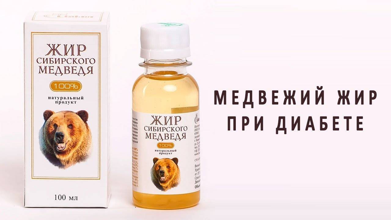 Медвежий жир: лечебные свойства, от чего он помогает, применение и противопоказания | народная медицина | dlja-pohudenija.ru