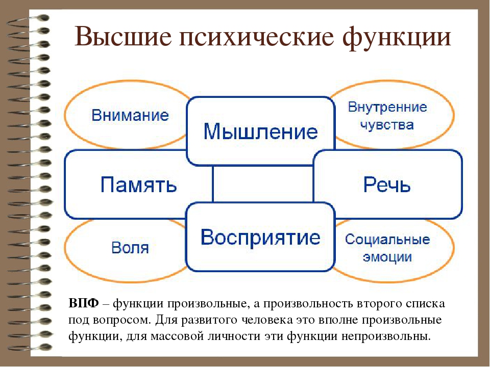 Высшие психические функции презентация