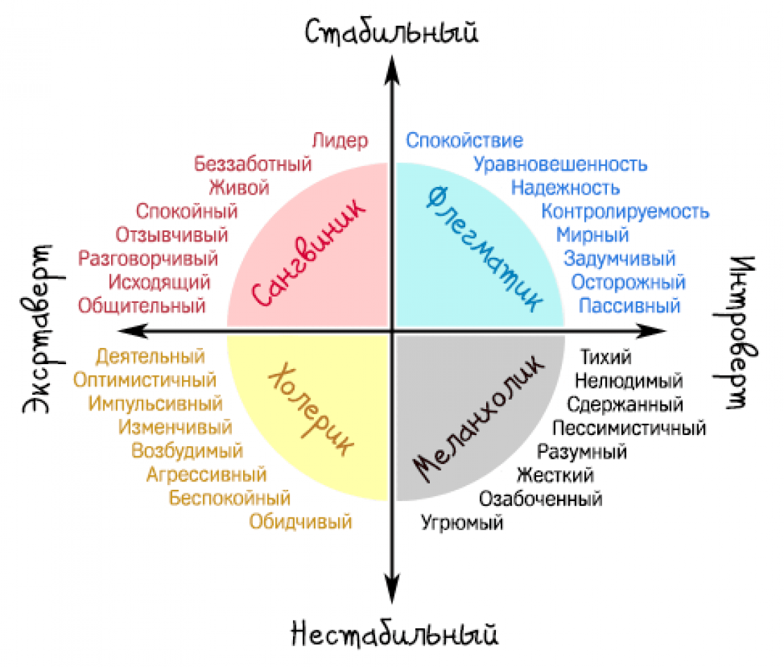 Гипертимный тип личности: проявление гипертимности в акцентуации характера