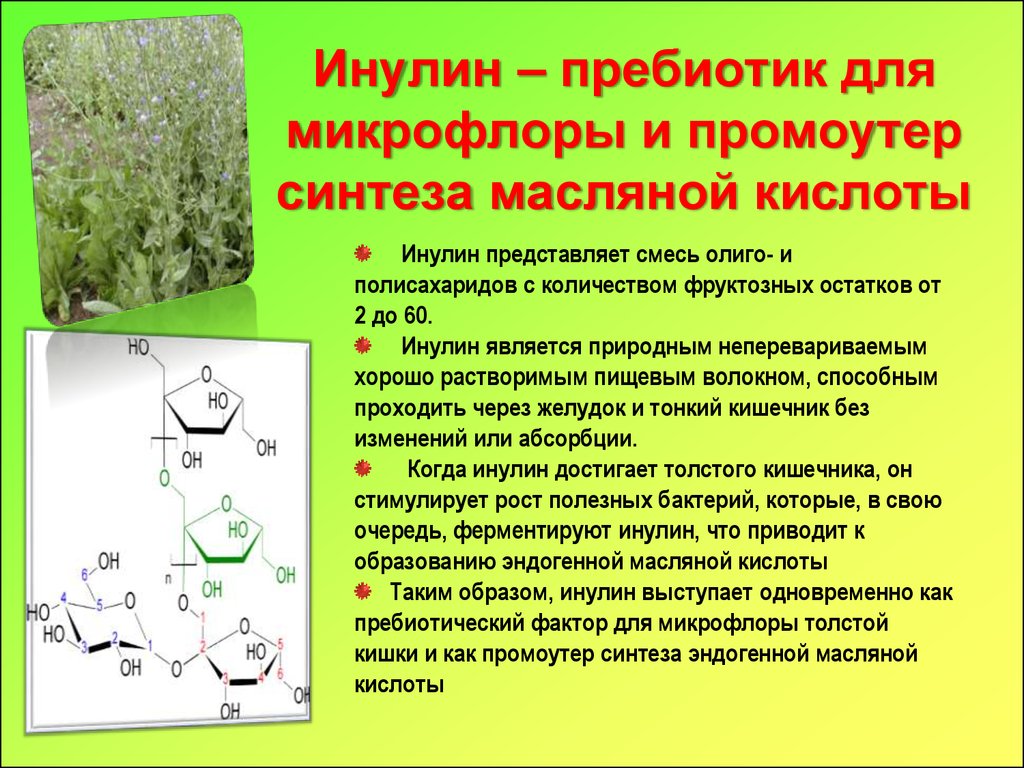 Влияние препарата “инулин-нутримед” на состояние углеводного и липидного обмена у больных сахарным диабетом ii типа