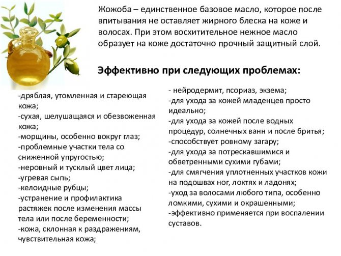 Манго – источник мудрости и король фруктов
