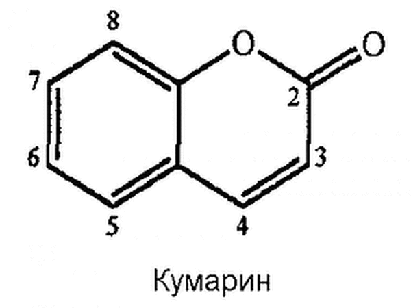 7 особенностей приема глюкозамина и хондроитина - нолтрекс.