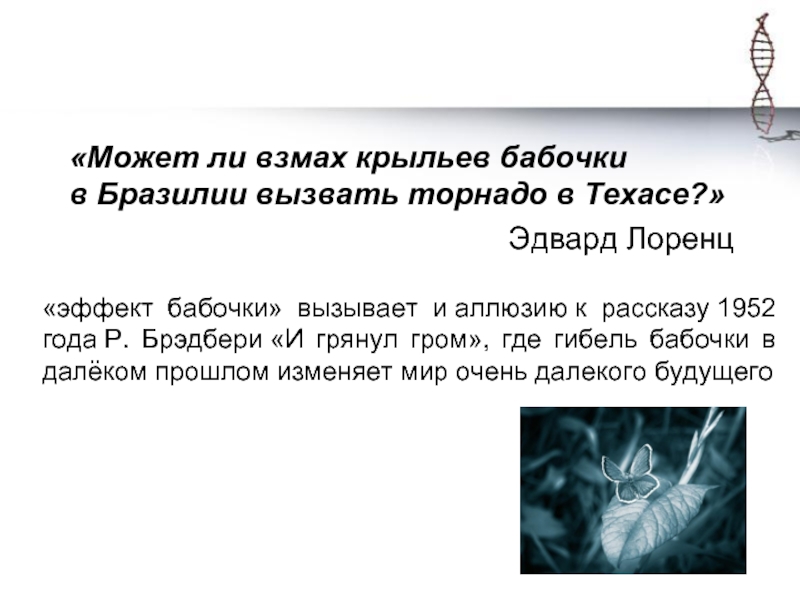Эффект бабочки и его философский смысл | блог 4brain