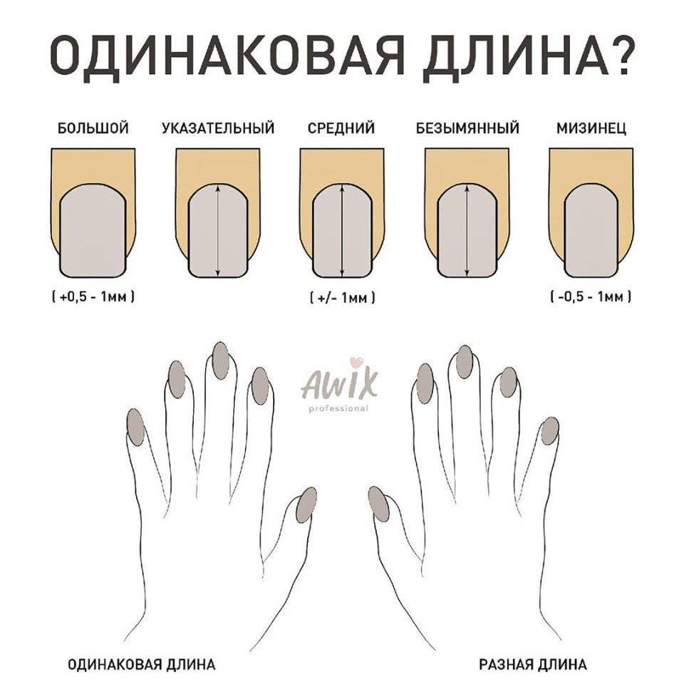 Формы ногтей для маникюра разновидности фото и названия на средние ногти