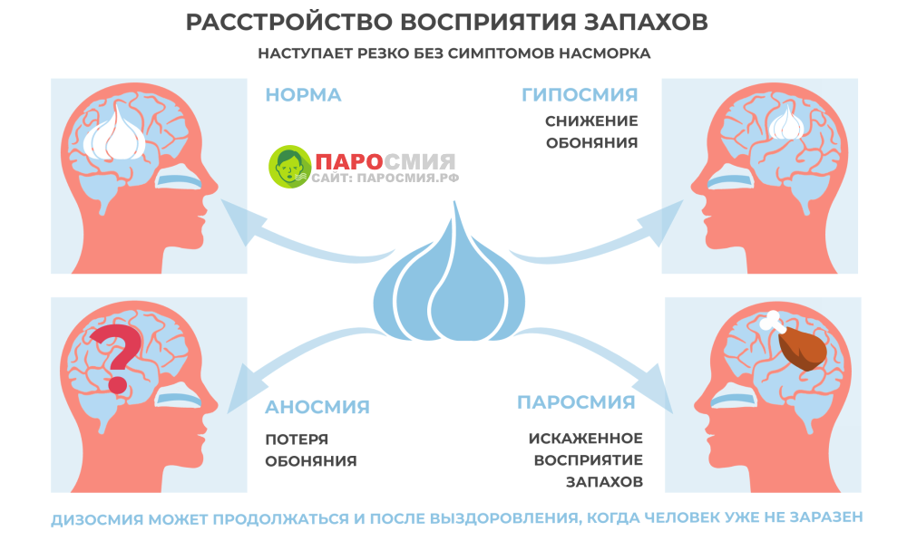 Паросмия. Паросмия причины. Искажение запахов. Паросмия запахи и вкусы.