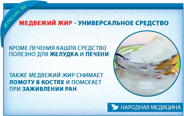 Жир медведя топленый: инструкция по применению, описание, отзывы, применение