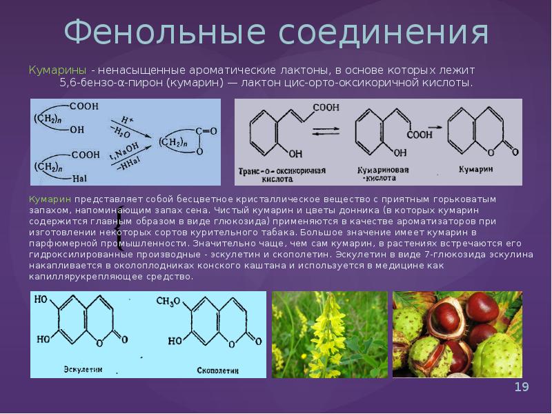 5 ингредиентов, которые нельзя добавлять в домашнюю косметику! - центр эстетической медицины