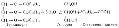 Напишите схемы образования триглицеридов стеариновой кислоты пальмитиновой кислоты олеиновой кислоты