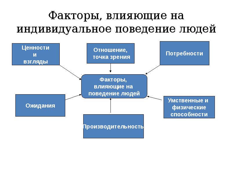 Человеческое поведение и его особенности