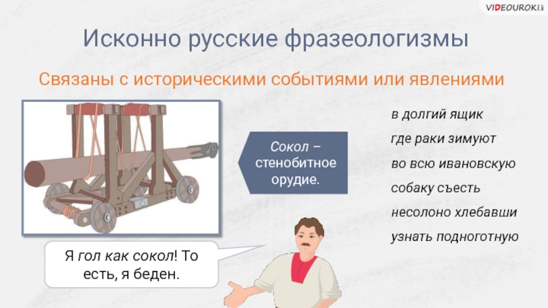 Все причины появления папиллом на теле