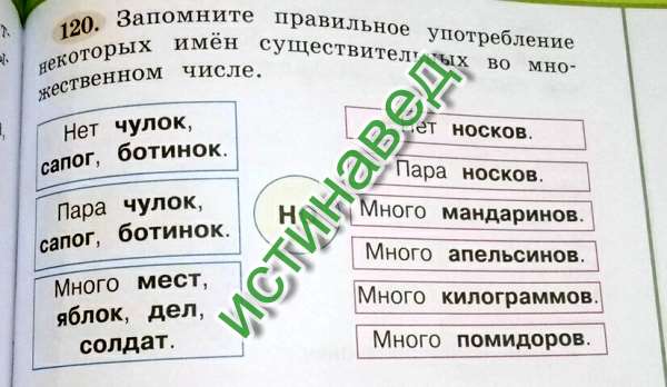 Носок или носок как правильно. Чулок носок множественное число. Носков или носок чулок или чулков.