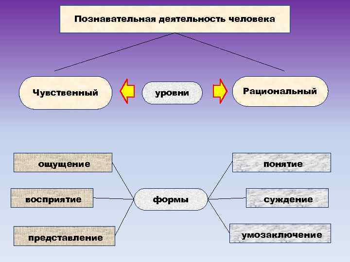 Карта отражающая какой нибудь один сюжет тему объект явление отрасль или сочетание сюжетов