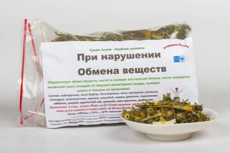 Береза бородавчатая (береза повислая)