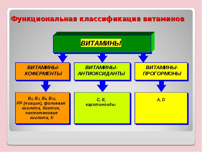 Витамин c: где содержится и за что отвечает? — блог mygenetic