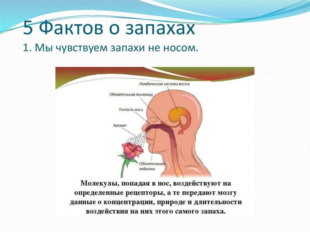 Лучшие женские колготки