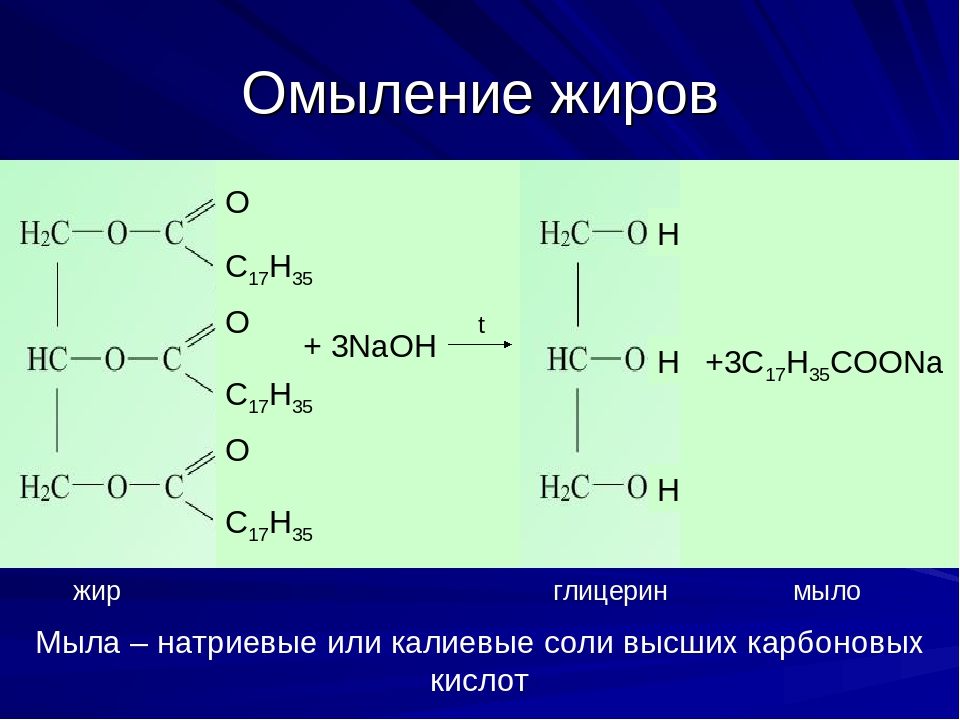 Напишите схемы образования триглицеридов стеариновой кислоты пальмитиновой кислоты олеиновой кислоты