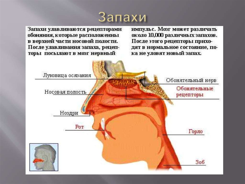 В каких образах уместно ношение телесных колготок, советы по выбору