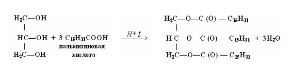 Стеариновая кислота (stearic acid) в косметике - вред или польза?