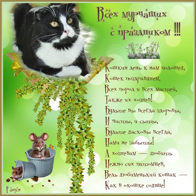 Милые и забавные подарки, которые помогут найти путь к сердцу любителей кошек