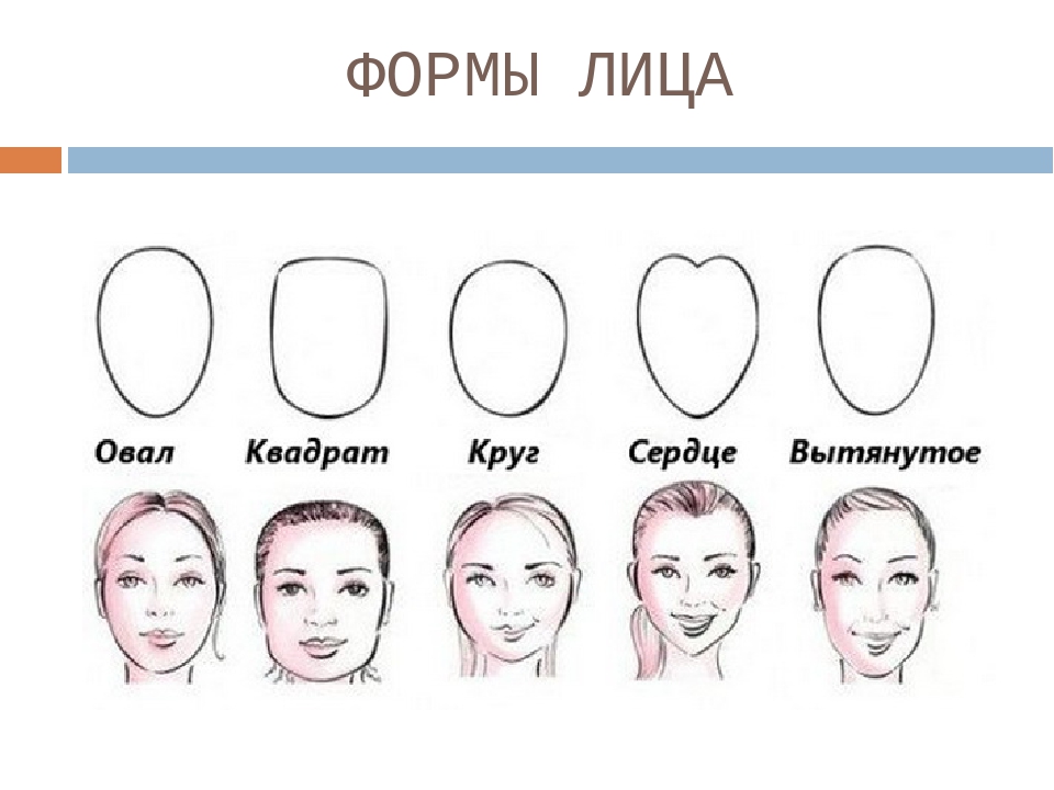 Округлая форма головы. Формы лица. Типы лица. Типы лица у женщин. Овальная форма лица.