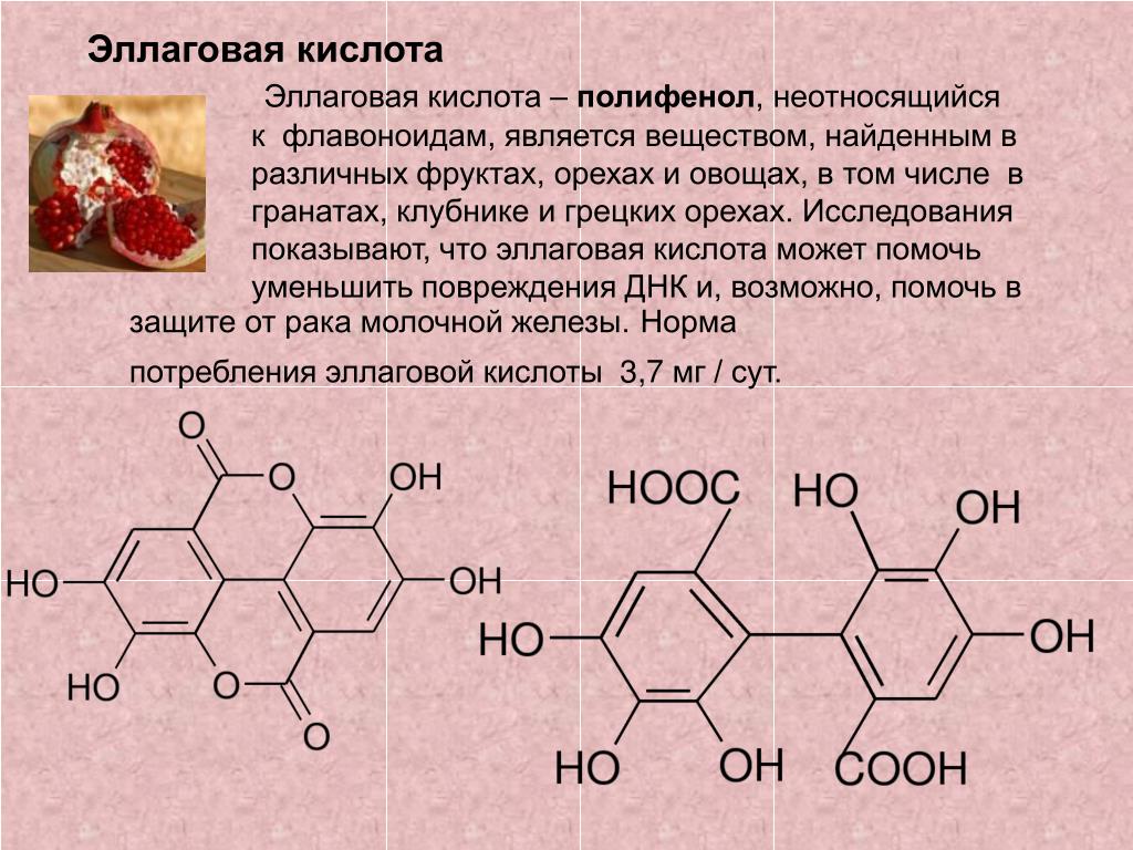 7 особенностей приема глюкозамина и хондроитина