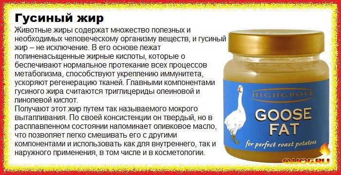 Для чего нужен жир в организме?