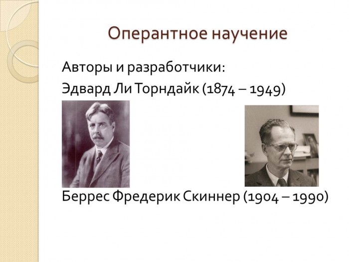 Оперантное обусловливание и «ящик скиннера»