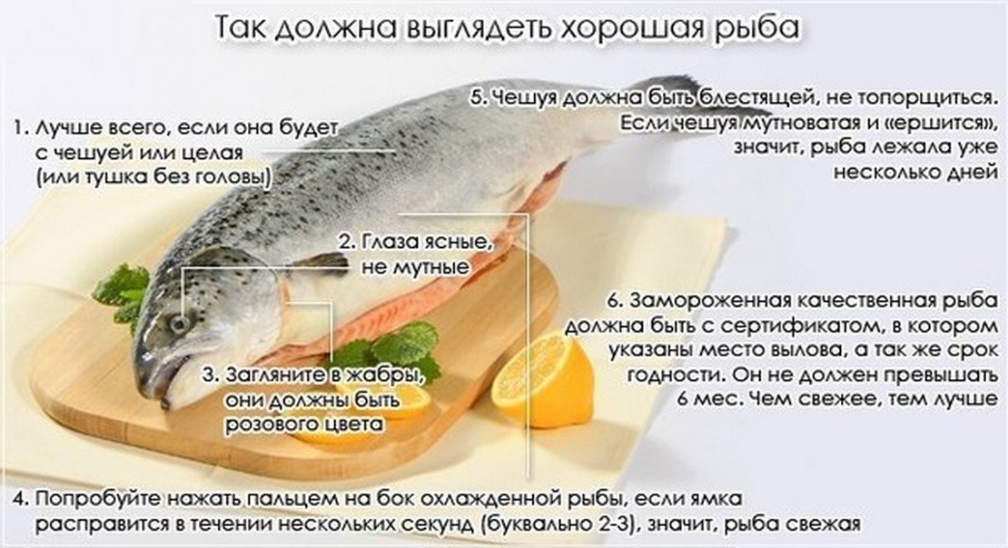 Чем питается карась